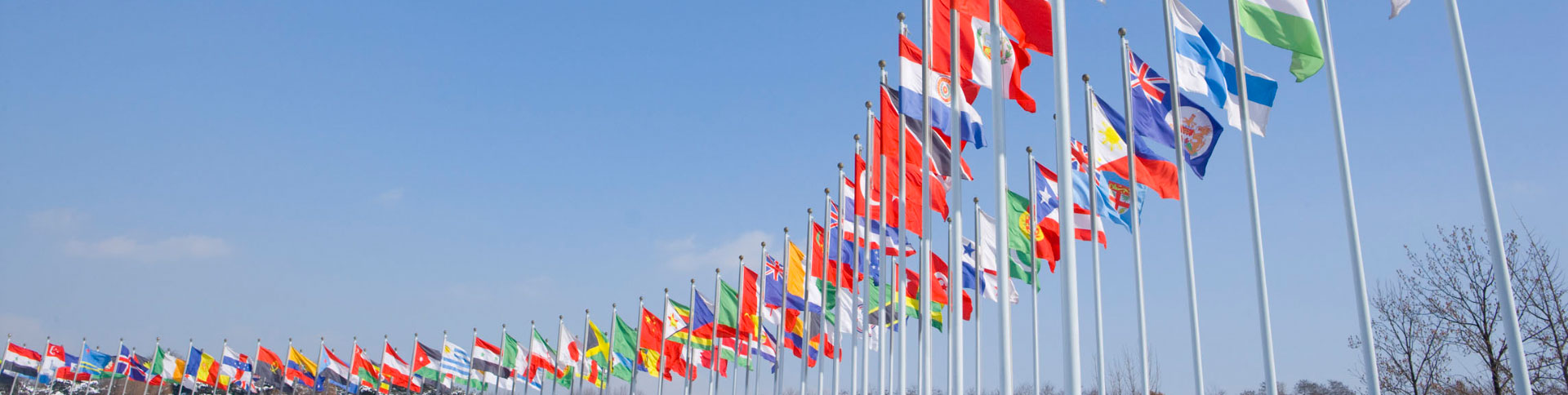 國(guó)際資料企業(yè)宣傳網(wǎng)站|一網(wǎng)天行-網(wǎng)站建設(shè)小程序APP系統(tǒng)軟件開發(fā)公司