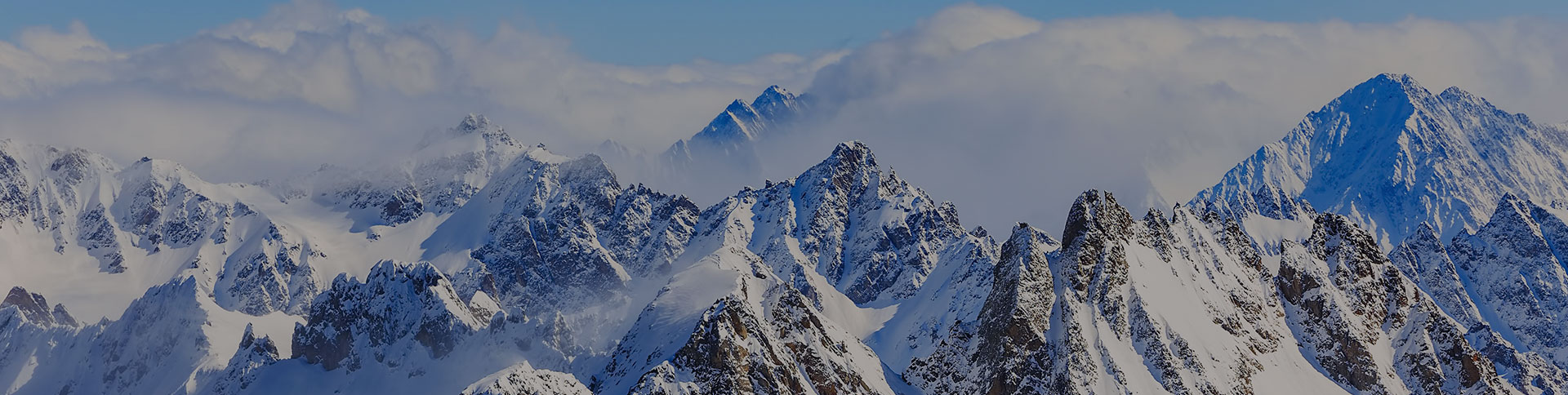 新毅控股企業(yè)宣傳網(wǎng)站|一網(wǎng)天行-網(wǎng)站建設(shè)小程序APP系統(tǒng)軟件開發(fā)公司