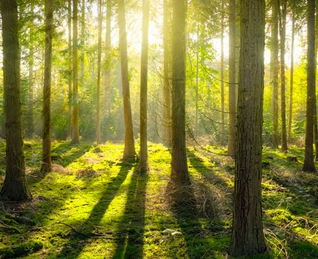 愛(ài)的天使-空氣凈化器電商平臺(tái)