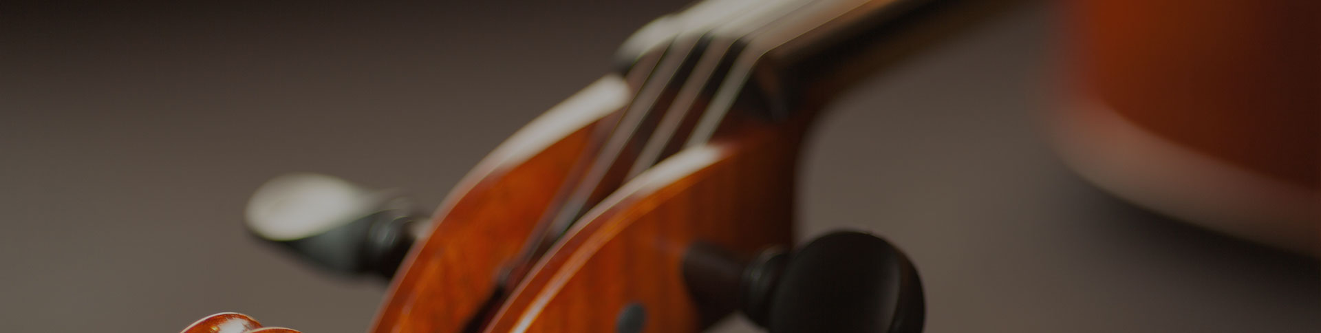 中國民族管弦樂學會-在線考試證書平臺|一網天行-網站建設小程序APP系統(tǒng)軟件開發(fā)公司