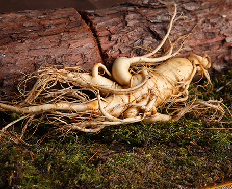 正德藥業(yè)-品牌營(yíng)銷(xiāo)網(wǎng)站|一網(wǎng)天行-網(wǎng)站建設(shè)小程序APP系統(tǒng)軟件開(kāi)發(fā)公司