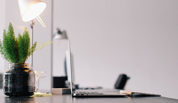 小程序開(kāi)發(fā)|APP軟件開(kāi)發(fā)|網(wǎng)站系統(tǒng)開(kāi)發(fā)公司-一網(wǎng)天行