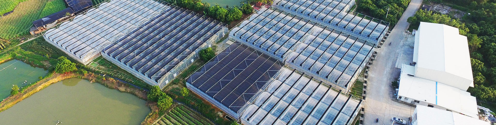 健康產業(yè)集團公司品牌宣傳網站|一網天行-網站建設小程序APP系統(tǒng)軟件開發(fā)公司